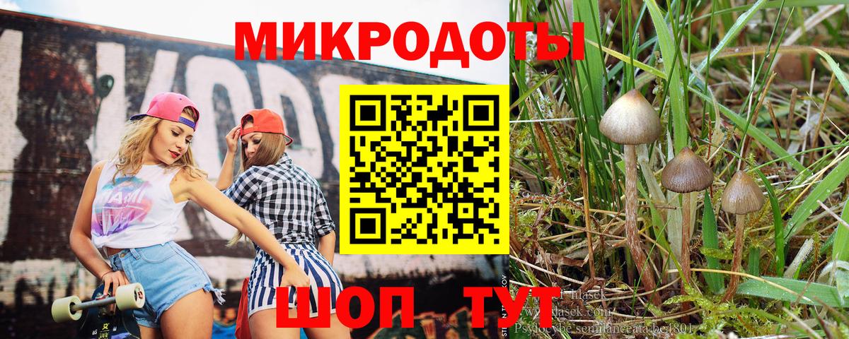 Галлюциногенные грибы MAGIC MUSHROOMS  Вход с VPN  Котлас  Галлюциногенные грибы мухоморы 